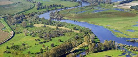 Rzeka Warta - Fotografie wykonane z perspektywy lotu ptaka (fotografia dronem) 